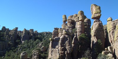 Experience Southern Arizona: Stay at Willcox/Cochise KOA