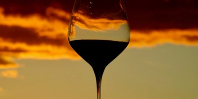 Willcox Wine Festival (Fall 2025)