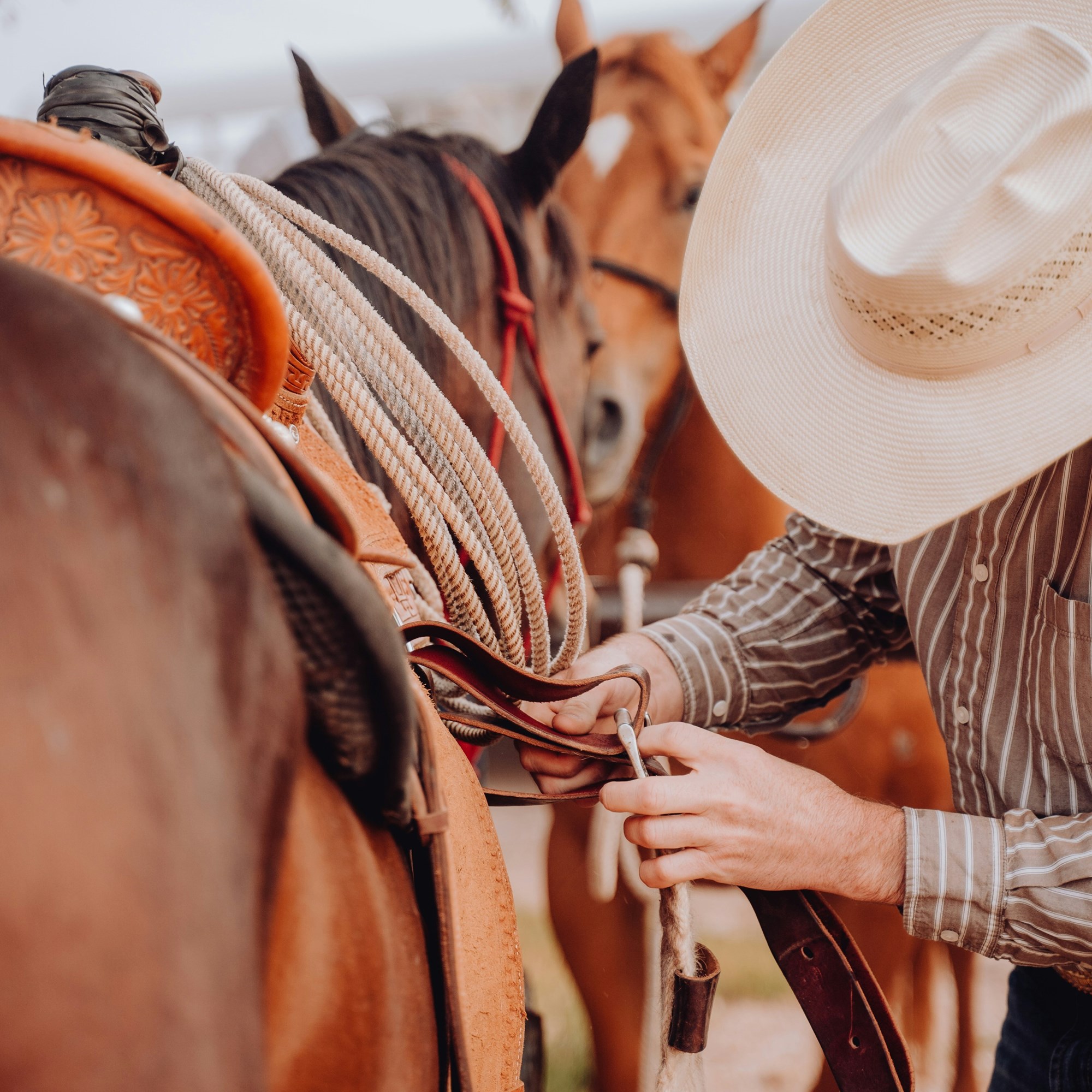 Willcox West Fest Ranch Rodeo & Chuck Wagon Cook-Off Photo