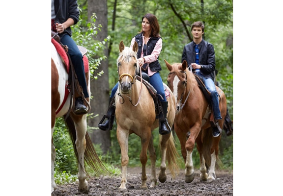 Horseback Riding / Trail Rides at the Campground