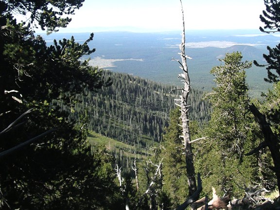 San Francisco Peaks