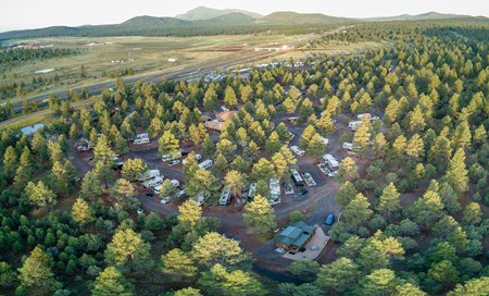 Williams / Exit 167 / Circle Pines KOA Holiday