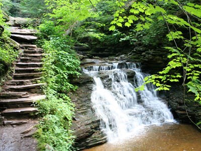 Ricketts Glen State Park