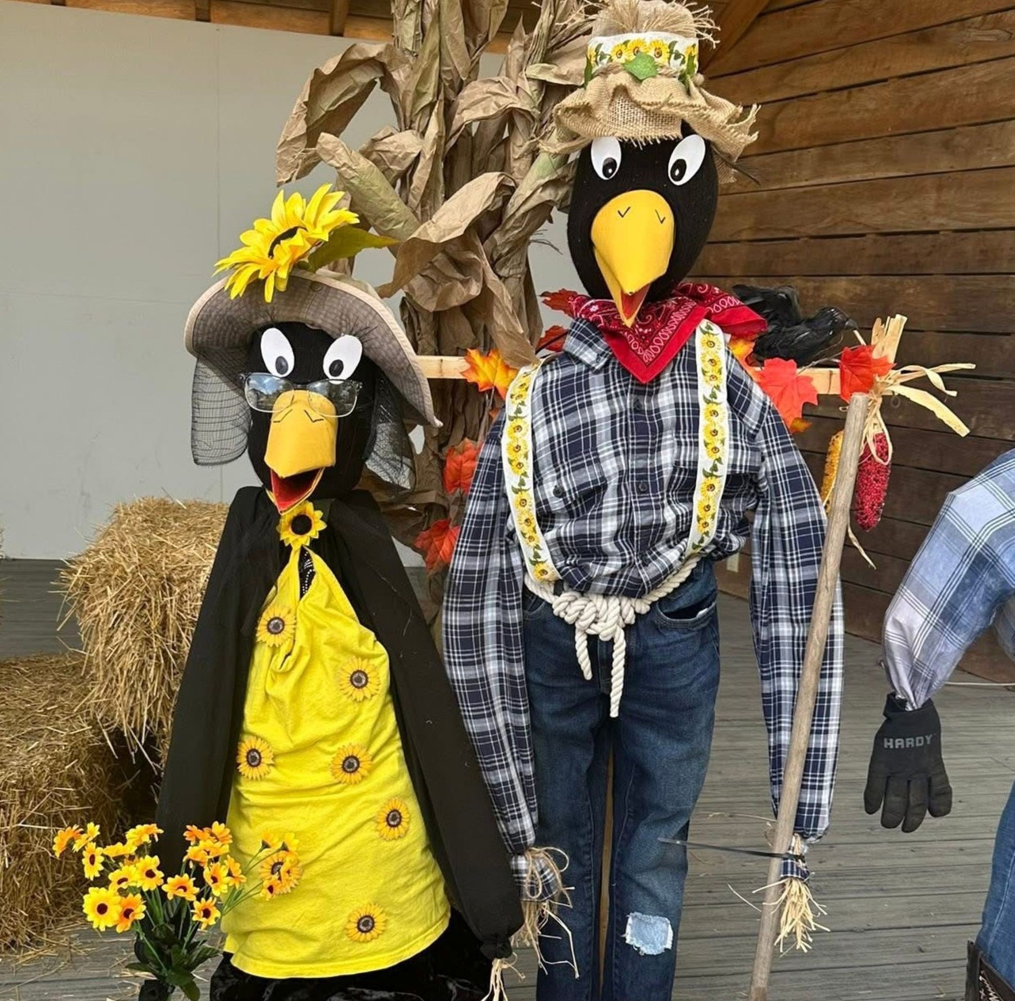 Fall Festival Weekend! Photo