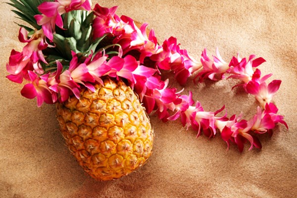 Hawaiian Luau Photo