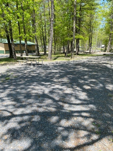 Spacious Back In Sites with water, 50amp electric, sewer and cable hookups. Some sites located close to the front of the park and near all the activities, and others that are in a more secluded and quiet area of the park.