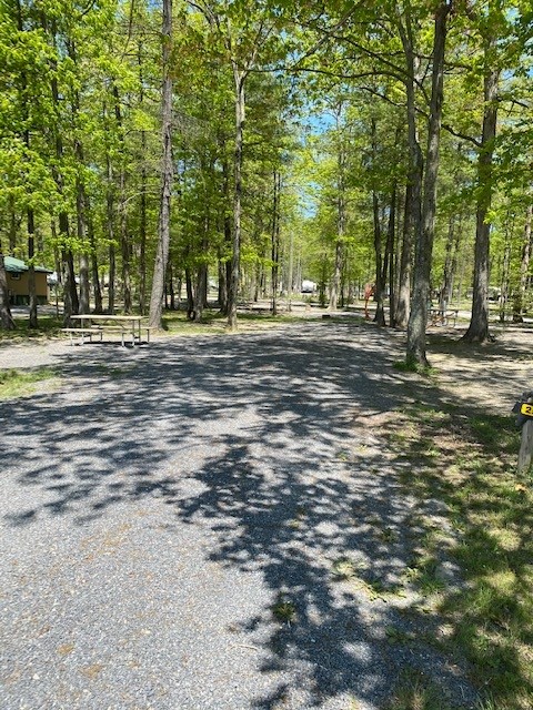 Spacious Back In Sites with water, 50amp electric, sewer and cable hookups. Some sites located close to the front of the park and near all the activities, and others that are in a more secluded and quiet area of the park.
