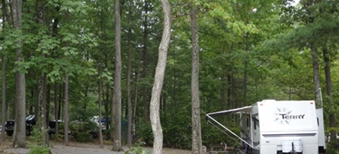 Our most spacious sites. Large wooded sites, 30 amp water and electric, located all over the park. Great sites with picnic tables & fire rings for your use. Plenty of options, so you can bring friends.