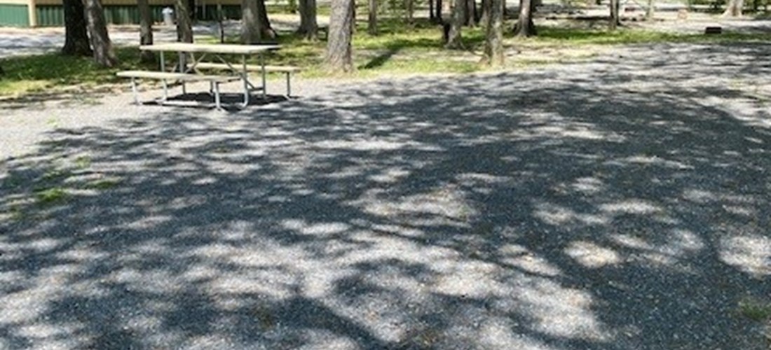 Spacious Back In Sites with water, 50amp electric, sewer and cable hookups. Some sites located close to the front of the park and near all the activities, and others that are in a more secluded and quiet area of the park.