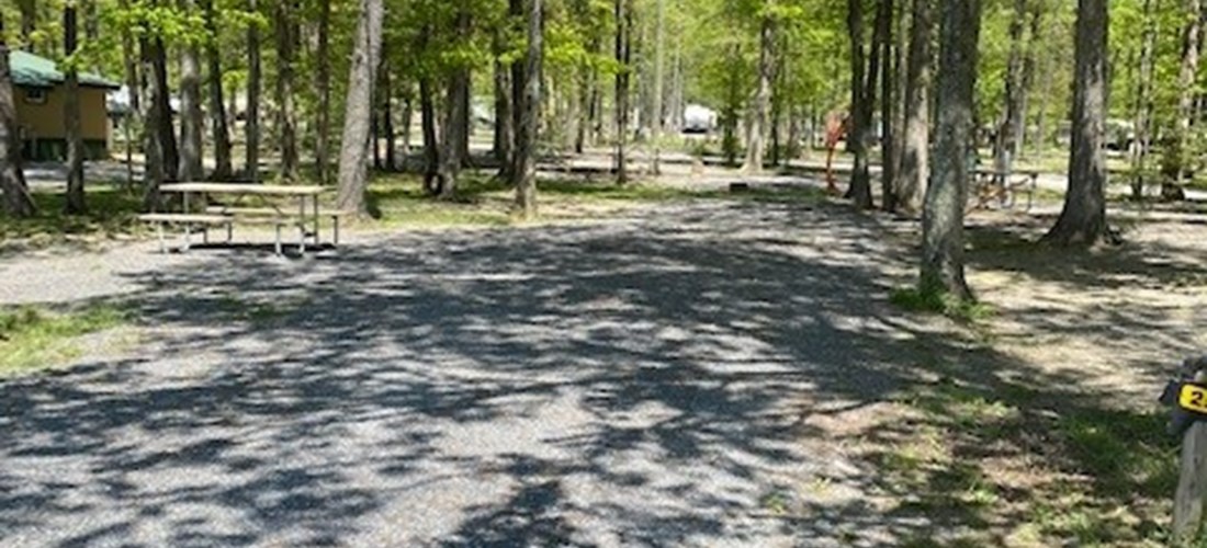 Spacious Back In Sites with water, 50amp electric, sewer and cable hookups. Some sites located close to the front of the park and near all the activities, and others that are in a more secluded and quiet area of the park.