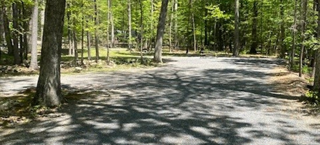 Spacious Back In Sites with water, 50amp electric, sewer and cable hookups. Some sites located close to the front of the park and near all the activities, and others that are in a more secluded and quiet area of the park.