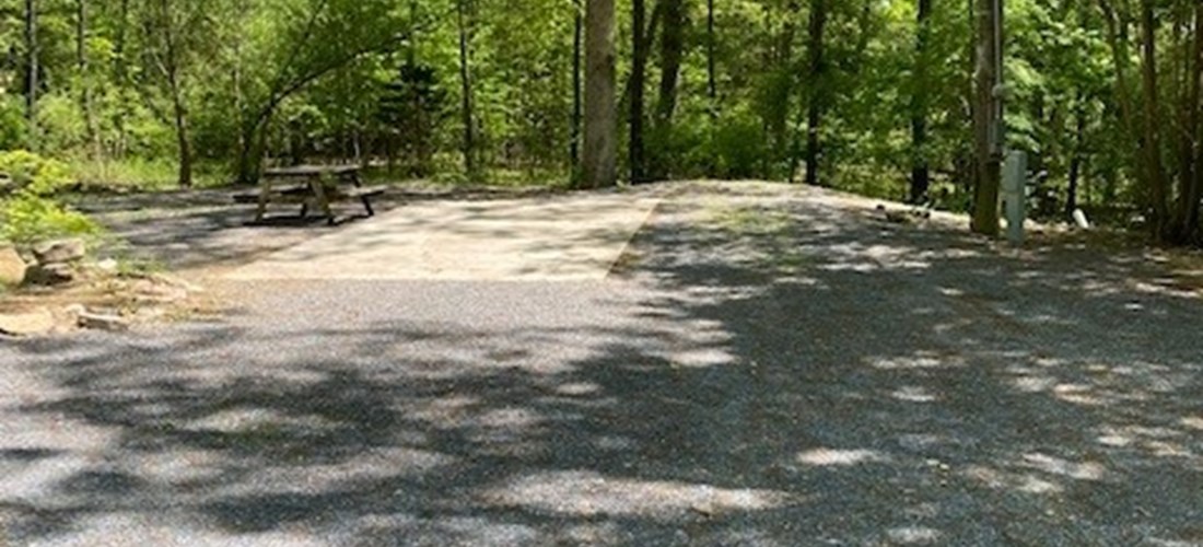 Spacious Back In Sites with water, 50amp electric, sewer and cable hookups. Some sites located close to the front of the park and near all the activities, and others that are in a more secluded and quiet area of the park.
