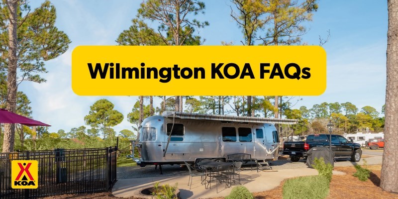 Frequently Asked Questions