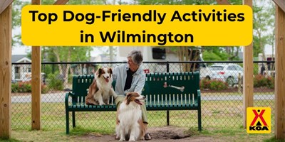 7 Dog-Friendly Things to Do in Wilmington, NC
