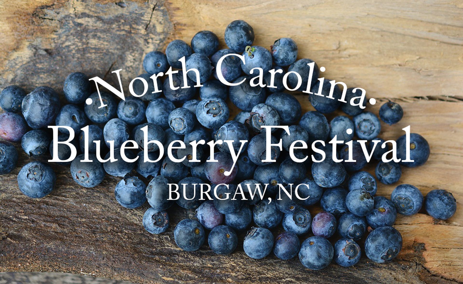 22nd Annual NC Blueberry Festival Photo