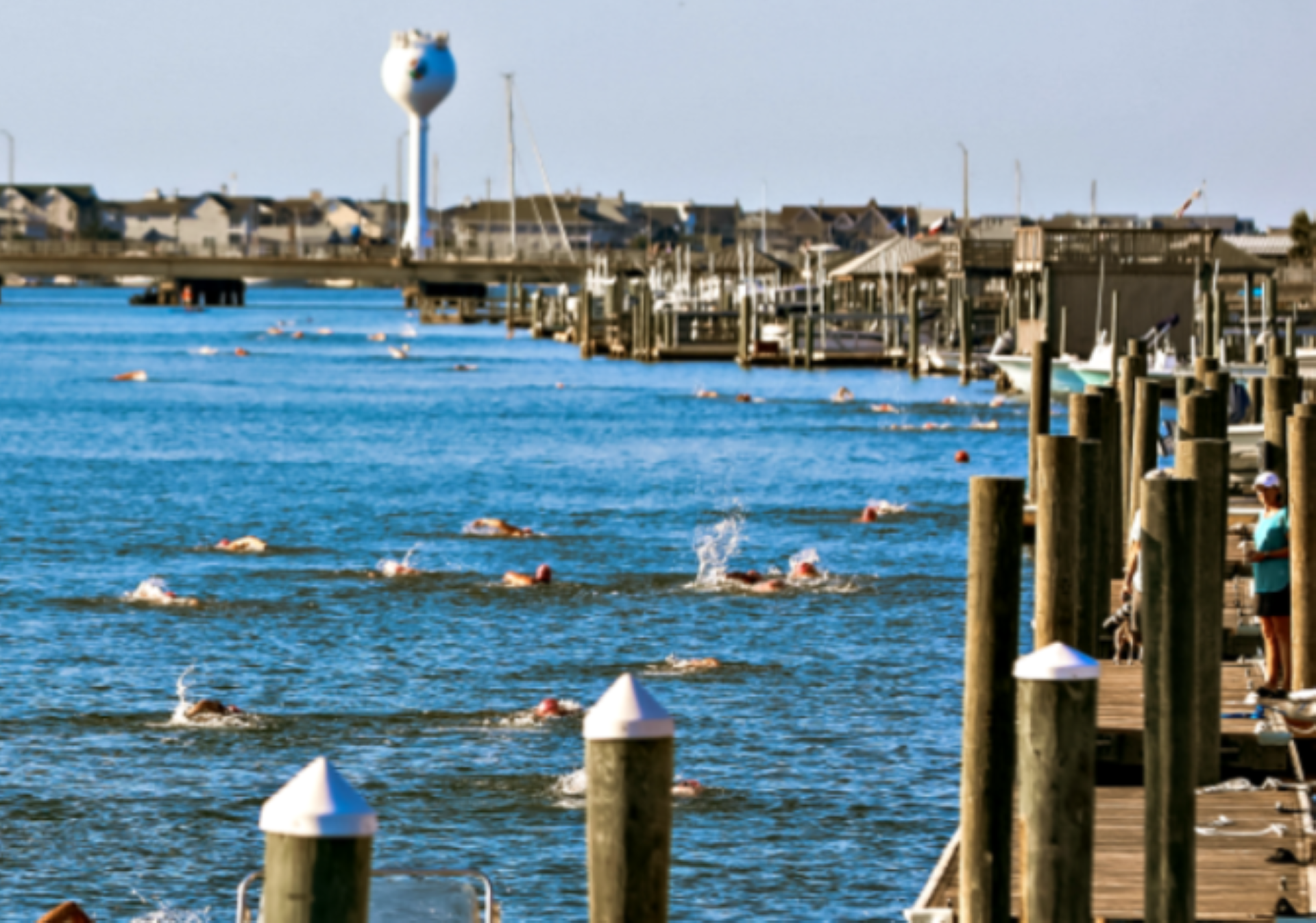 Swim the Loop and Mott's Channel Sprint Photo