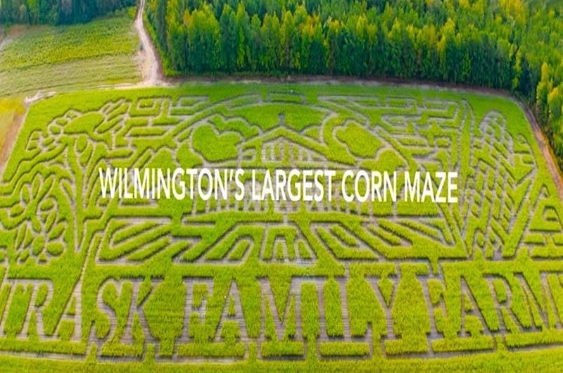 Fall Mystery Corn Mazes Photo