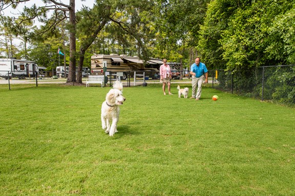 Plan a trip to Maysville, North Carolina