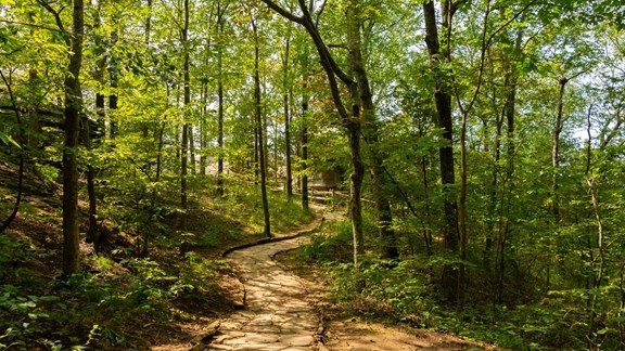 North Cumberland Trail System/Brimstone Recreation