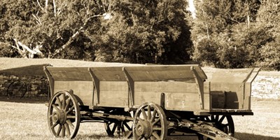 Shafer Historical Museum