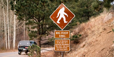 Chasing Legends: Bigfoot Sightings Near Winthrop, Washington