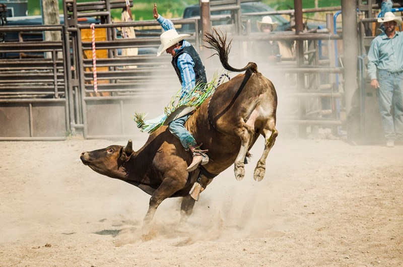 Methow Valley Rodeo - Labor Day Weekend Photo
