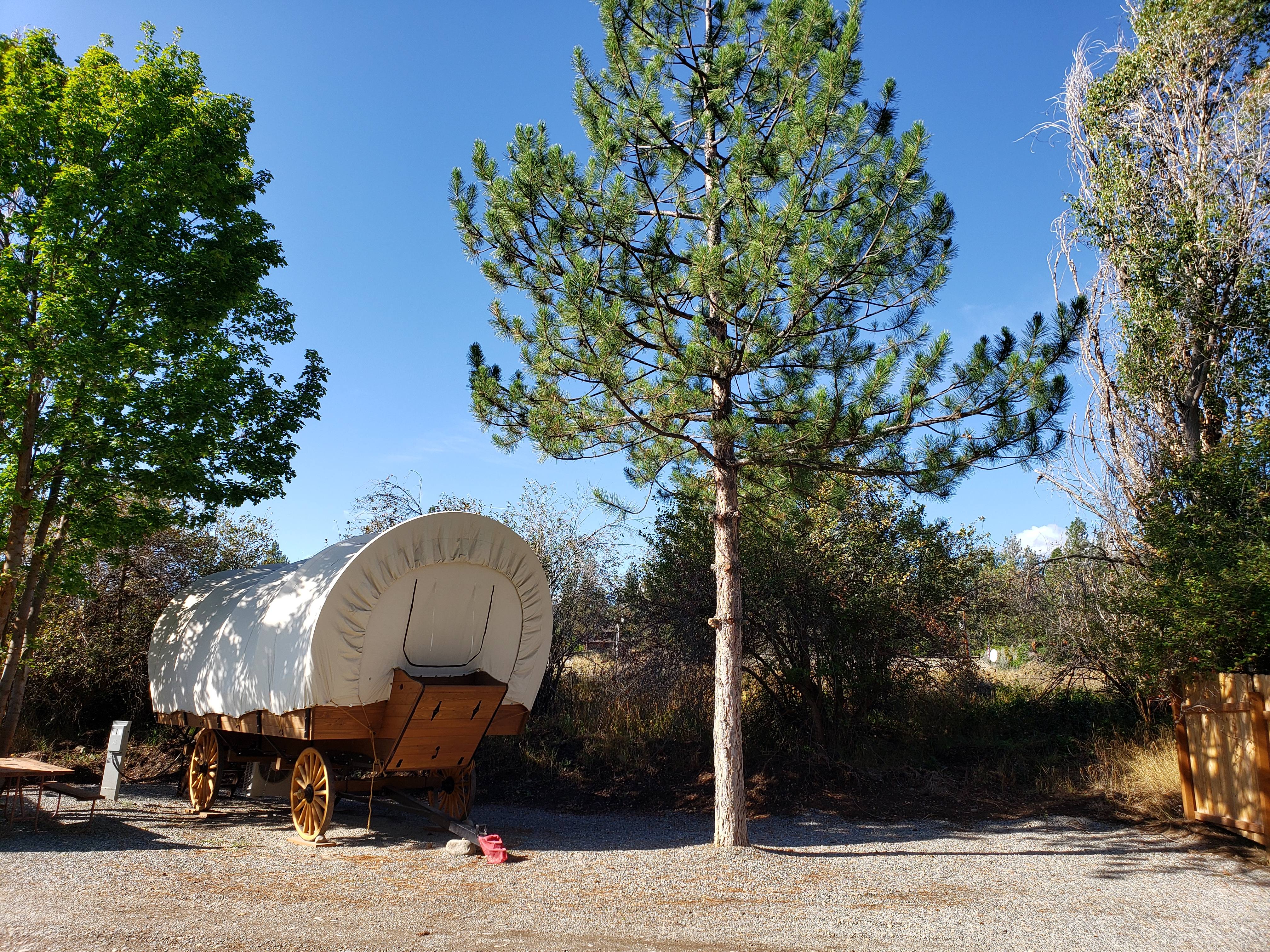 Covered Wagon (No Bathroom) Conestoga Wagon Pictures Winthrop / N