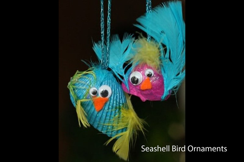 Sea Shell Bird Ornaments Photo