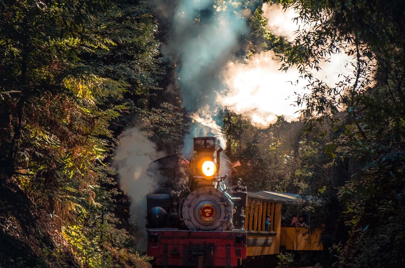 Pumpkin Trains at Riverside & Great Northern Railway Photo