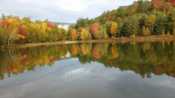 FISHING POND!