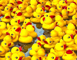 ANNUAL RUBBER DUCK REGATTA! Photo