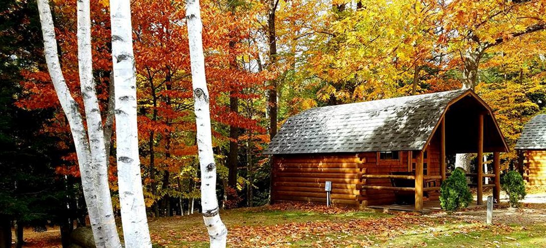 4 Person Basic Cabin