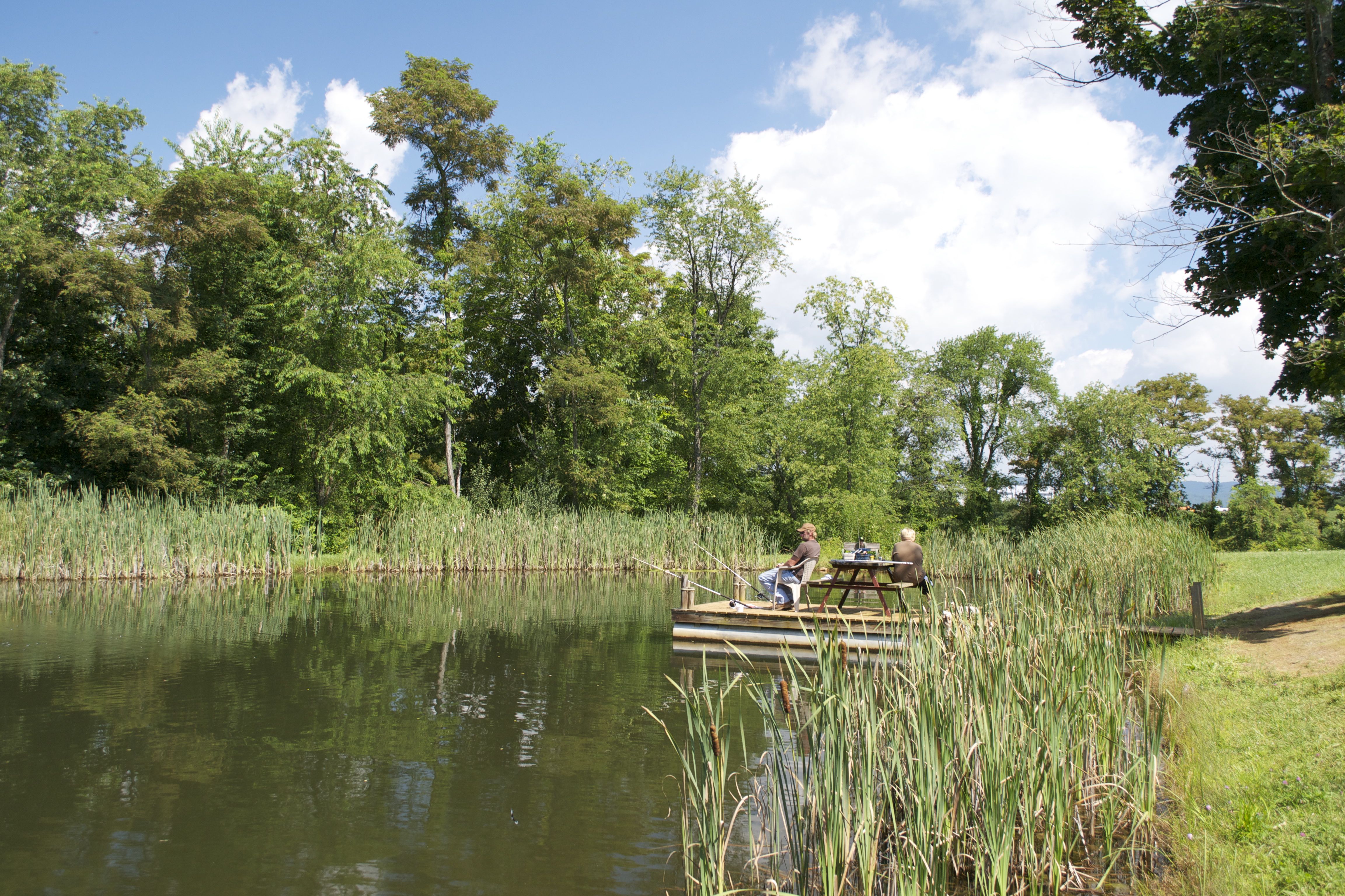 willville campground