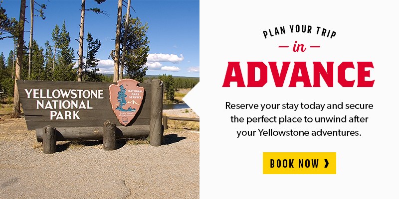 Plan Your Yellowstone Trip in Advance