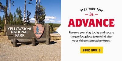 Plan Your Yellowstone Trip in Advance