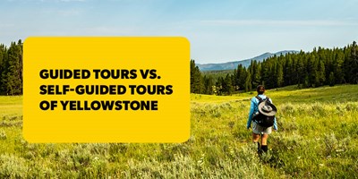 Guided Tours vs. Self-Guided Tours of Yellowstone