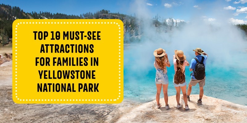 Top 10 Attractions for Families in Yellowstone National Park