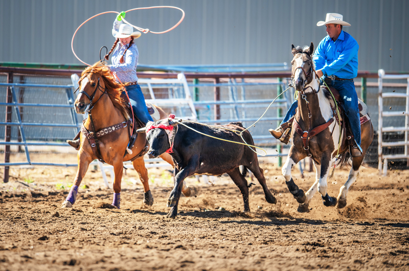West Yellowstone Rodeo: Event at the Yellowstone Park / West Gate KOA ...