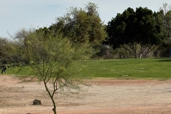 Wetlands Park