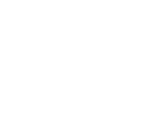 Spirit Logo See the Movie