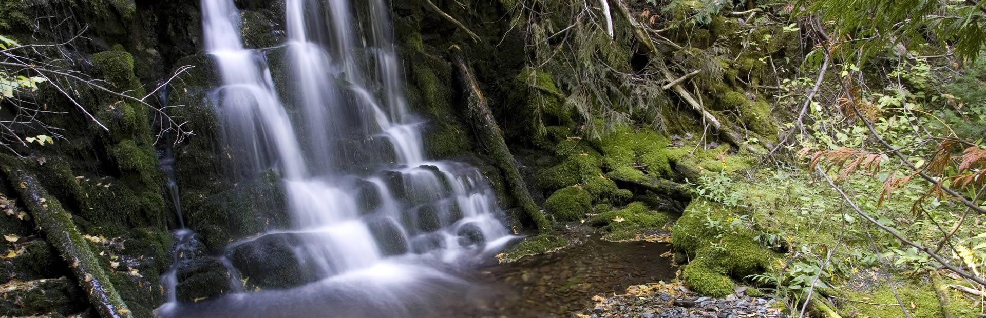 Best Idaho Campgrounds For Your Next Trip KOA Campgrounds